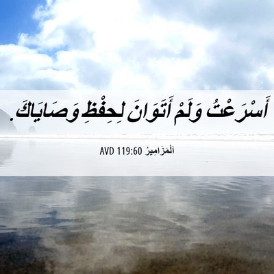 Picture 06 - اَلْمَزَامِيرُ 119:60 AVD - أَسْرَعْتُ وَلَمْ - Bible Verse Picture