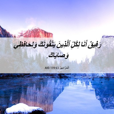 Picture 06 - اَلْمَزَامِيرُ 119:63 AVD - رَفِيقٌ أَنَا لِكُلِّ - Bible Verse Picture