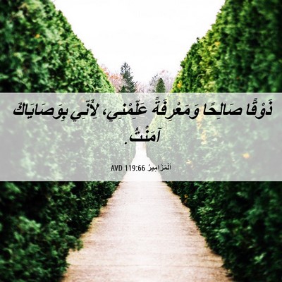 Picture 06 - اَلْمَزَامِيرُ 119:66 AVD - ذَوْقًا صَالِحًا - Bible Verse Picture