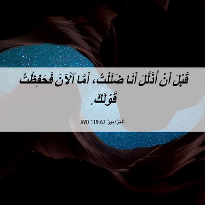 Picture 06 - اَلْمَزَامِيرُ 119:67 AVD - قَبْلَ أَنْ أُذَلَّلَ - Bible Verse Picture