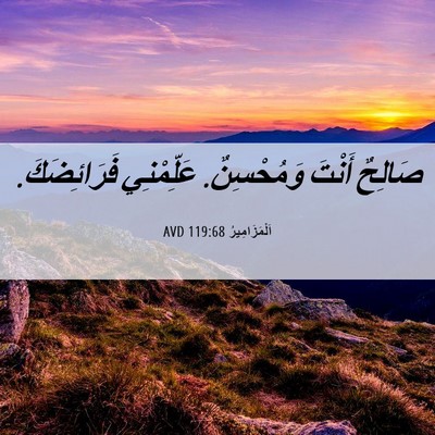 Picture 06 - اَلْمَزَامِيرُ 119:68 AVD - صَالِحٌ أَنْتَ وَمُحْسِنٌ. - Bible Verse Picture