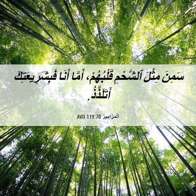 Picture 06 - اَلْمَزَامِيرُ 119:70 AVD - سَمِنَ مِثْلَ ٱلشَّحْمِ - Bible Verse Picture