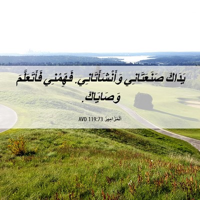 Picture 06 - اَلْمَزَامِيرُ 119:73 AVD - يَدَاكَ صَنَعَتَانِي - Bible Verse Picture