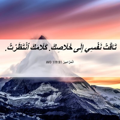 Picture 06 - اَلْمَزَامِيرُ 119:81 AVD - تَاقَتْ نَفْسِي إِلَى - Bible Verse Picture