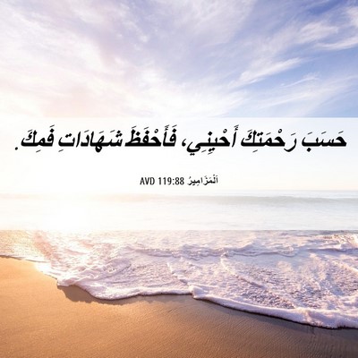 Picture 06 - اَلْمَزَامِيرُ 119:88 AVD - حَسَبَ رَحْمَتِكَ - Bible Verse Picture