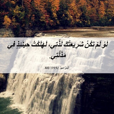 Picture 06 - اَلْمَزَامِيرُ 119:92 AVD - لَوْ لَمْ تَكُنْ - Bible Verse Picture