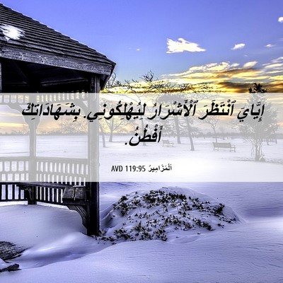Picture 06 - اَلْمَزَامِيرُ 119:95 AVD - إِيَّايَ ٱنْتَظَرَ - Bible Verse Picture
