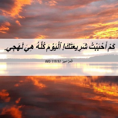 Picture 06 - اَلْمَزَامِيرُ 119:97 AVD - كَمْ أَحْبَبْتُ - Bible Verse Picture