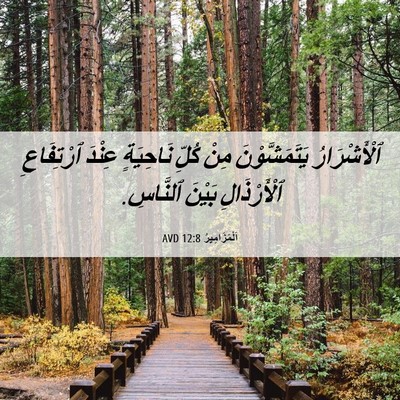Picture 06 - اَلْمَزَامِيرُ 12:8 AVD - ٱلْأَشْرَارُ - Bible Verse Picture