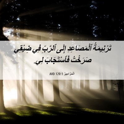 Picture 06 - اَلْمَزَامِيرُ 120:1 AVD - تَرْنِيمَةُ ٱلْمَصَاعِدِ - Bible Verse Picture