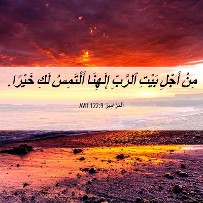 Picture 06 - اَلْمَزَامِيرُ 122:9 AVD - مِنْ أَجْلِ بَيْتِ - Bible Verse Picture