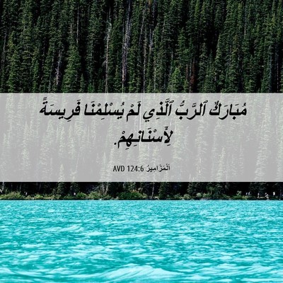 Picture 06 - اَلْمَزَامِيرُ 124:6 AVD - مُبَارَكٌ ٱلرَّبُّ - Bible Verse Picture