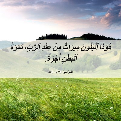 Picture 06 - اَلْمَزَامِيرُ 127:3 AVD - هُوَذَا ٱلْبَنُونَ - Bible Verse Picture