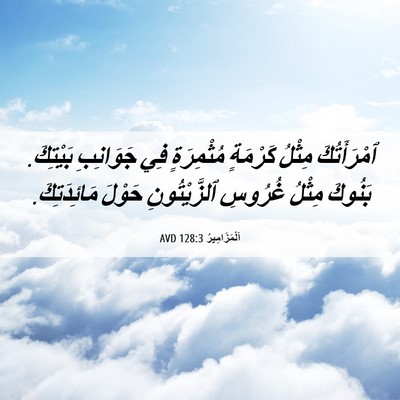 Picture 06 - اَلْمَزَامِيرُ 128:3 AVD - ٱمْرَأَتُكَ مِثْلُ - Bible Verse Picture
