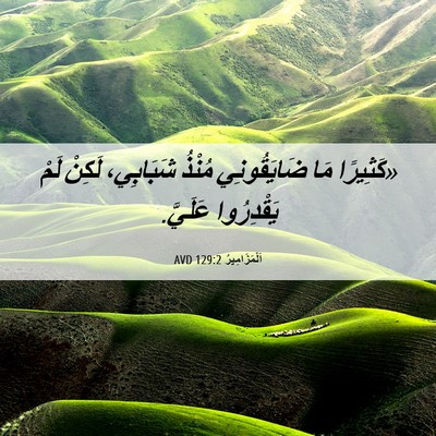 Picture 06 - اَلْمَزَامِيرُ 129:2 AVD - «كَثِيرًا مَا ضَايَقُونِي - Bible Verse Picture