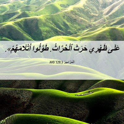 Picture 06 - اَلْمَزَامِيرُ 129:3 AVD - عَلَى ظَهْرِي حَرَثَ - Bible Verse Picture