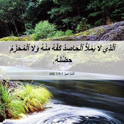Picture 06 - اَلْمَزَامِيرُ 129:7 AVD - ٱلَّذِي لَا يَمْلَأُ - Bible Verse Picture