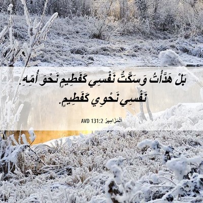 Picture 06 - اَلْمَزَامِيرُ 131:2 AVD - بَلْ هَدَّأْتُ وَسَكَّتُّ - Bible Verse Picture