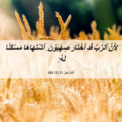 Picture 06 - اَلْمَزَامِيرُ 132:13 AVD - لِأَنَّ ٱلرَّبَّ قَدِ - Bible Verse Picture