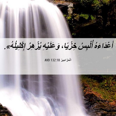 Picture 06 - اَلْمَزَامِيرُ 132:18 AVD - أَعْدَاءَهُ أُلْبِسُ - Bible Verse Picture