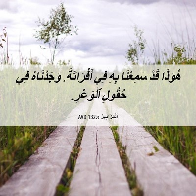 Picture 06 - اَلْمَزَامِيرُ 132:6 AVD - هُوَذَا قَدْ سَمِعْنَا - Bible Verse Picture