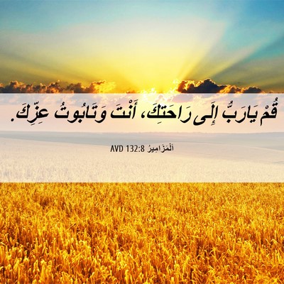 Picture 06 - اَلْمَزَامِيرُ 132:8 AVD - قُمْ يَارَبُّ إِلَى - Bible Verse Picture