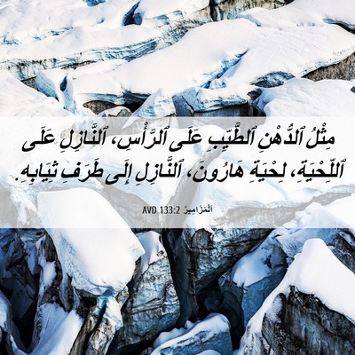 Picture 06 - اَلْمَزَامِيرُ 133:2 AVD - مِثْلُ ٱلدُّهْنِ - Bible Verse Picture