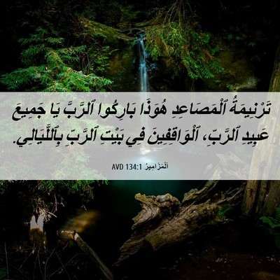 Picture 06 - اَلْمَزَامِيرُ 134:1 AVD - تَرْنِيمَةُ ٱلْمَصَاعِدِ - Bible Verse Picture