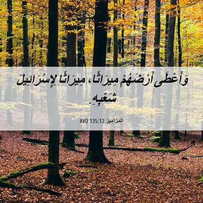 Picture 06 - اَلْمَزَامِيرُ 135:12 AVD - وَأَعْطَى أَرْضَهُمْ - Bible Verse Picture