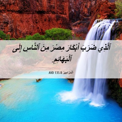 Picture 06 - اَلْمَزَامِيرُ 135:8 AVD - ٱلَّذِي ضَرَبَ أَبْكَارَ - Bible Verse Picture