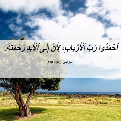Picture 06 - اَلْمَزَامِيرُ 136:3 AVD - ٱحْمَدُوا رَبَّ - Bible Verse Picture