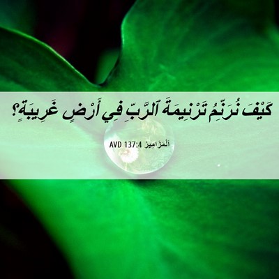 Picture 06 - اَلْمَزَامِيرُ 137:4 AVD - كَيْفَ نُرَنِّمُ - Bible Verse Picture
