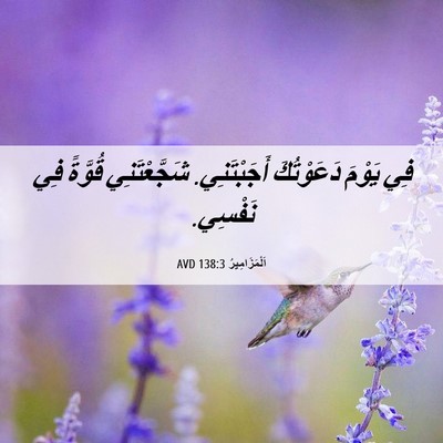 Picture 06 - اَلْمَزَامِيرُ 138:3 AVD - فِي يَوْمَ دَعَوْتُكَ - Bible Verse Picture