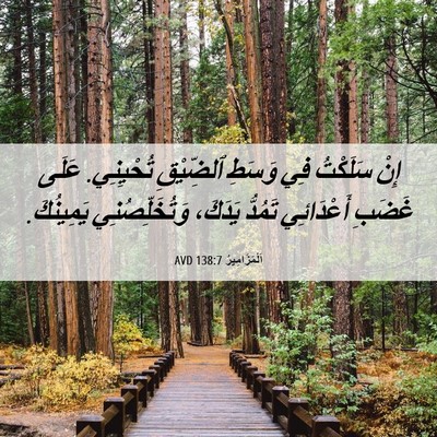 Picture 06 - اَلْمَزَامِيرُ 138:7 AVD - إِنْ سَلَكْتُ فِي وَسَطِ - Bible Verse Picture