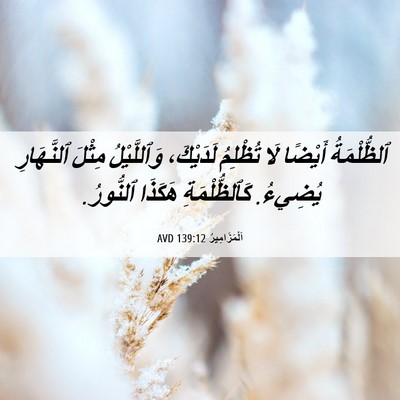 Picture 06 - اَلْمَزَامِيرُ 139:12 AVD - ٱلظُّلْمَةُ أَيْضًا لَا - Bible Verse Picture