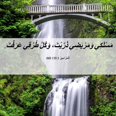 Picture 06 - اَلْمَزَامِيرُ 139:3 AVD - مَسْلَكِي وَمَرْبَضِي - Bible Verse Picture