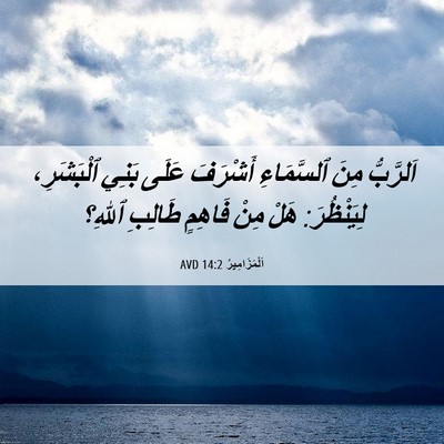 Picture 06 - اَلْمَزَامِيرُ 14:2 AVD - اَلرَّبُّ مِنَ ٱلسَّمَاءِ - Bible Verse Picture
