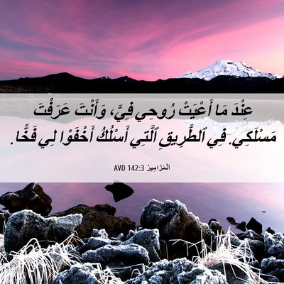 Picture 06 - اَلْمَزَامِيرُ 142:3 AVD - عِنْدَ مَا أَعْيَتْ رُوحِي - Bible Verse Picture