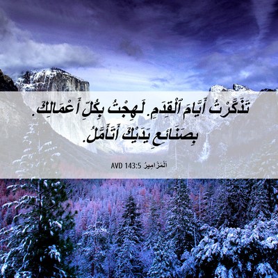 Picture 06 - اَلْمَزَامِيرُ 143:5 AVD - تَذَكَّرْتُ أَيَّامَ - Bible Verse Picture