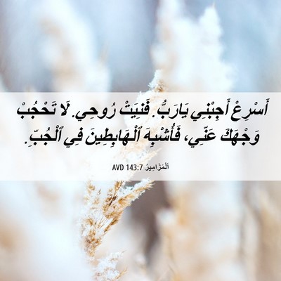 Picture 06 - اَلْمَزَامِيرُ 143:7 AVD - أَسْرِعْ أَجِبْنِي - Bible Verse Picture