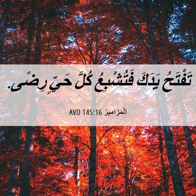 Picture 06 - اَلْمَزَامِيرُ 145:16 AVD - تَفْتَحُ يَدَكَ - Bible Verse Picture