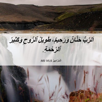 Picture 06 - اَلْمَزَامِيرُ 145:8 AVD - اَلرَّبُّ حَنَّانٌ - Bible Verse Picture