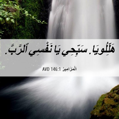 Picture 06 - اَلْمَزَامِيرُ 146:1 AVD - هَلِّلُويَا. سَبِّحِي يَا - Bible Verse Picture