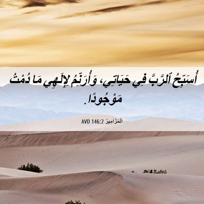 Picture 06 - اَلْمَزَامِيرُ 146:2 AVD - أُسَبِّحُ ٱلرَّبَّ فِي - Bible Verse Picture