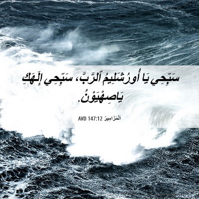Picture 06 - اَلْمَزَامِيرُ 147:12 AVD - سَبِّحِي يَا أُورُشَلِيمُ - Bible Verse Picture