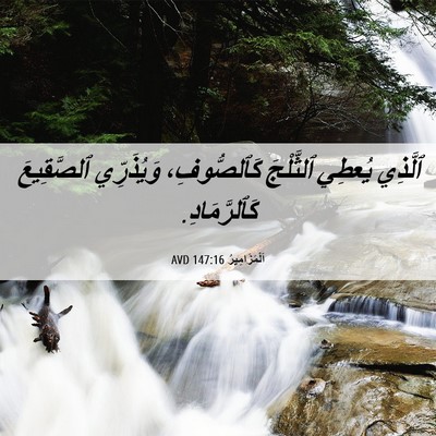 Picture 06 - اَلْمَزَامِيرُ 147:16 AVD - ٱلَّذِي يُعطِي ٱلثَّلْجَ - Bible Verse Picture