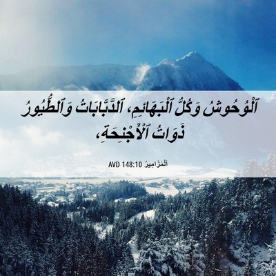 Picture 06 - اَلْمَزَامِيرُ 148:10 AVD - ٱلْوُحُوشُ وَكُلُّ - Bible Verse Picture