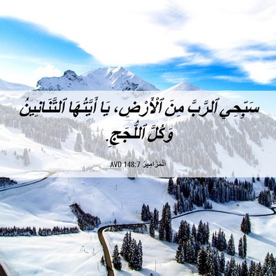 Picture 06 - اَلْمَزَامِيرُ 148:7 AVD - سَبِّحِي ٱلرَّبَّ مِنَ - Bible Verse Picture