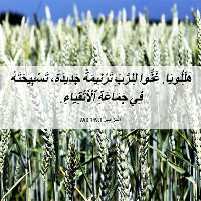 Picture 06 - اَلْمَزَامِيرُ 149:1 AVD - هَلِّلُويَا. غَنُّوا - Bible Verse Picture