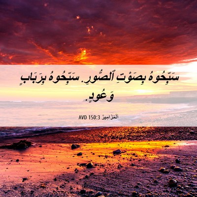 Picture 06 - اَلْمَزَامِيرُ 150:3 AVD - سَبِّحُوهُ بِصَوْتِ - Bible Verse Picture